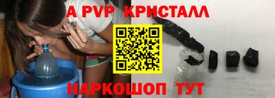 спиды Камышлов