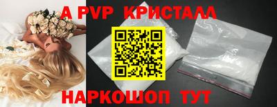 спиды Камышлов