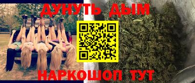 спиды Камышлов