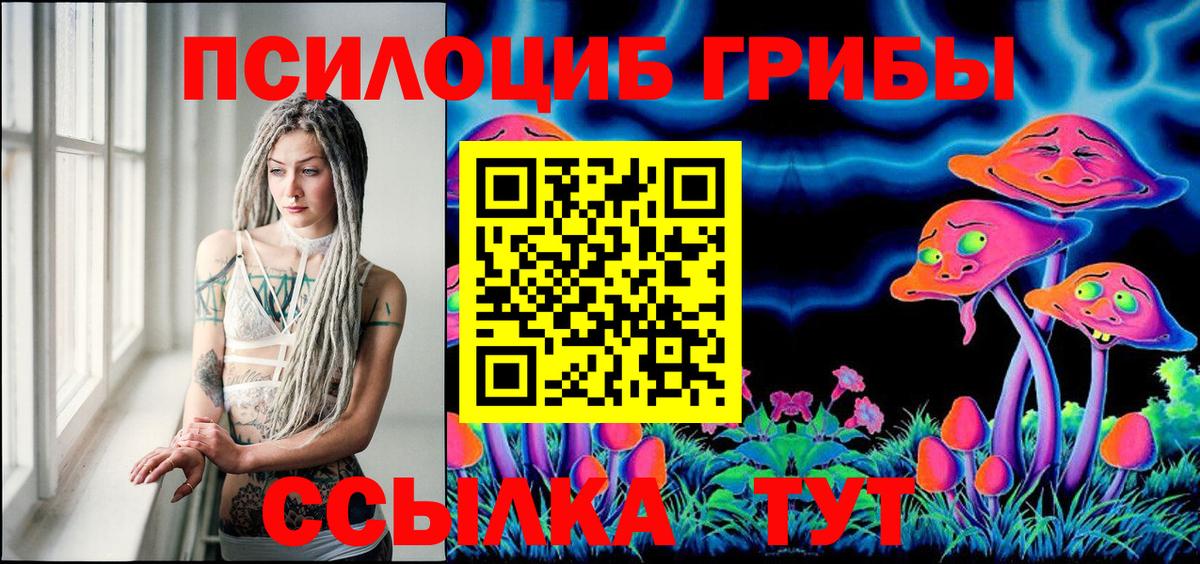 Галлюциногенные грибы Psilocybe Майский