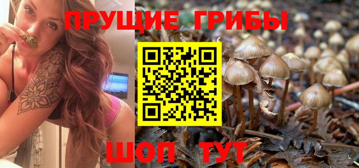 Галлюциногенные грибы мухоморы  Псилоцибиновые грибы MAGIC MUSHROOMS  Майский  Вход с VPN 
